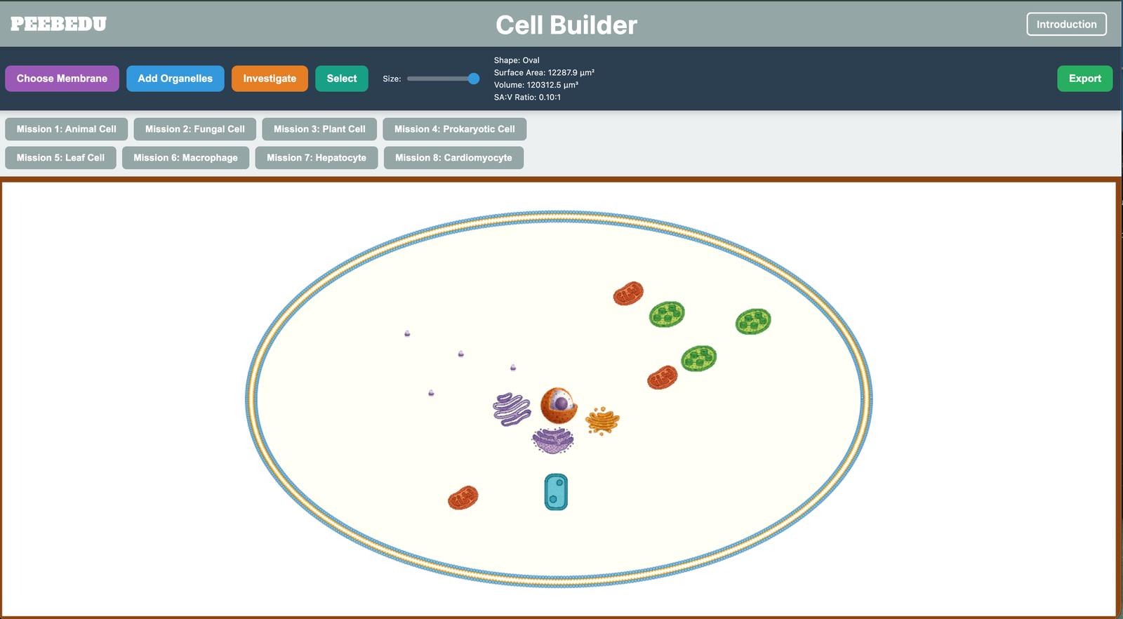 Cell Builder screenshot