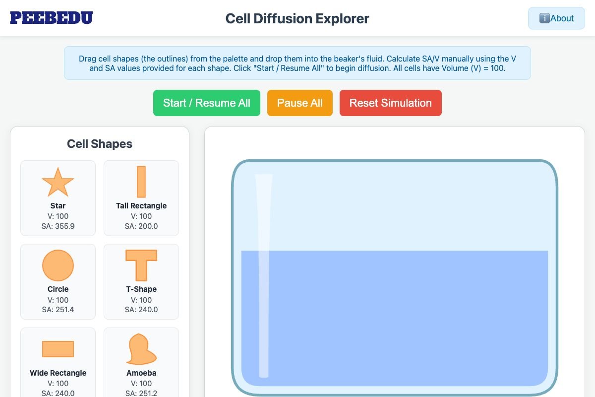 Cell Diffusion Explorer screenshot