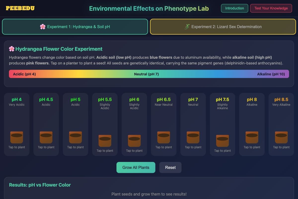 Environmental Phenotype Lab screenshot