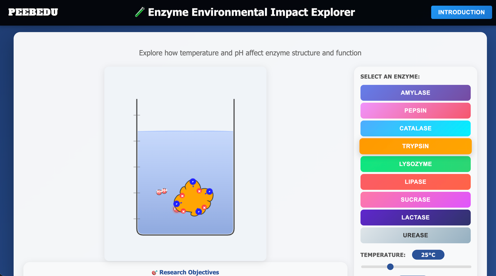 Enzyme Environment Explorer screenshot
