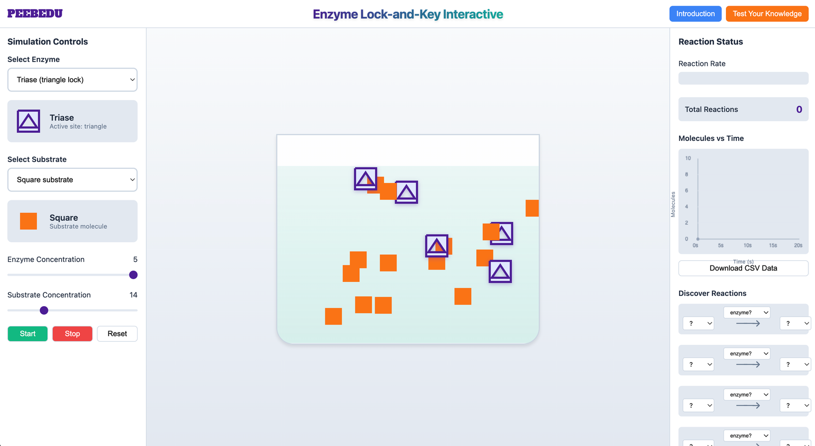 Enzyme Lock-and-Key screenshot