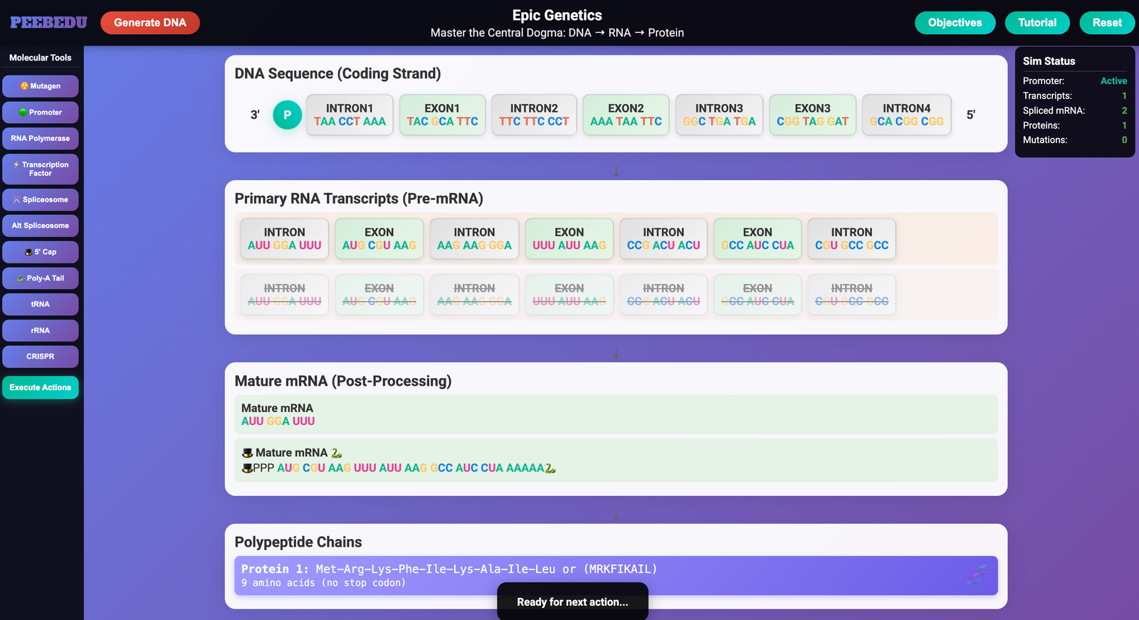 Epic Genetics screenshot