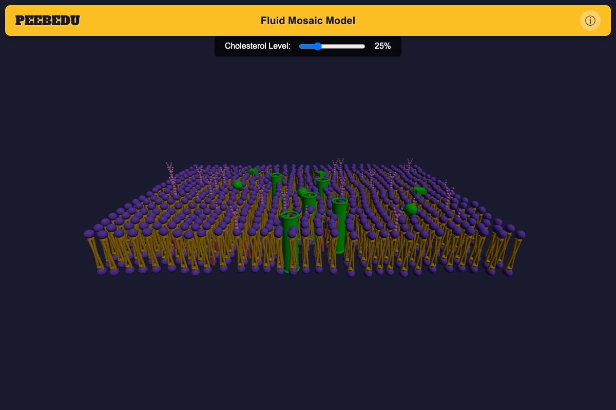 Fluid Mosaic Model screenshot