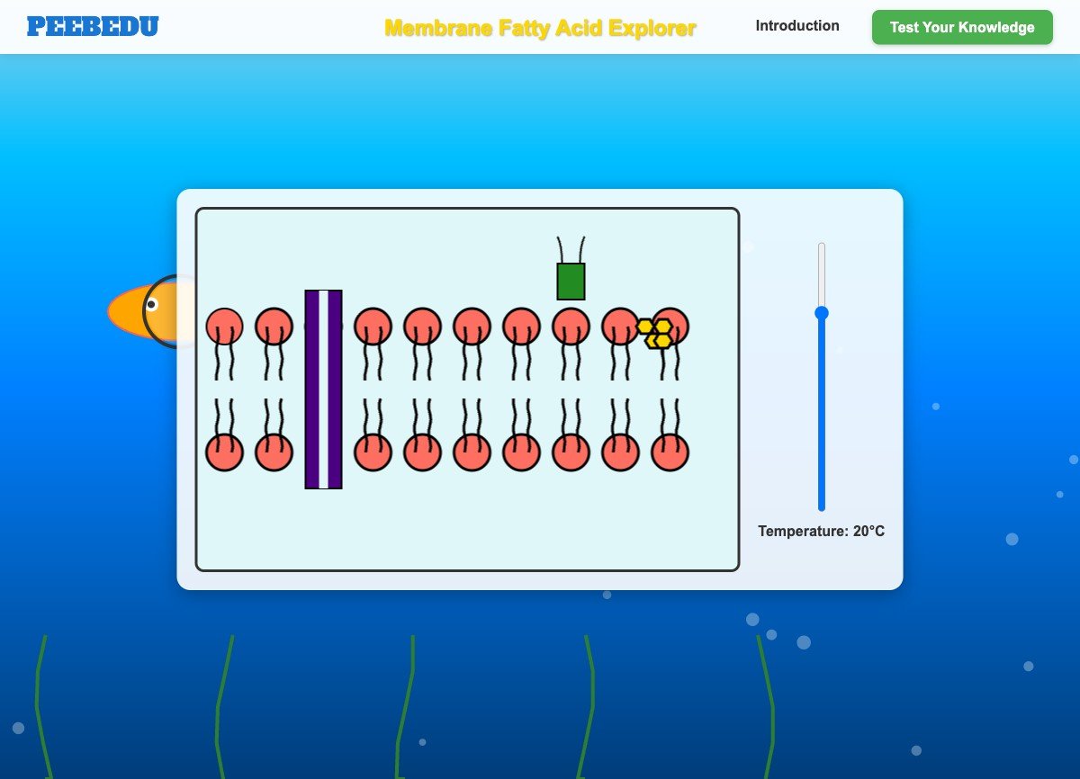 Membrane Fatty Acid Explorer screenshot