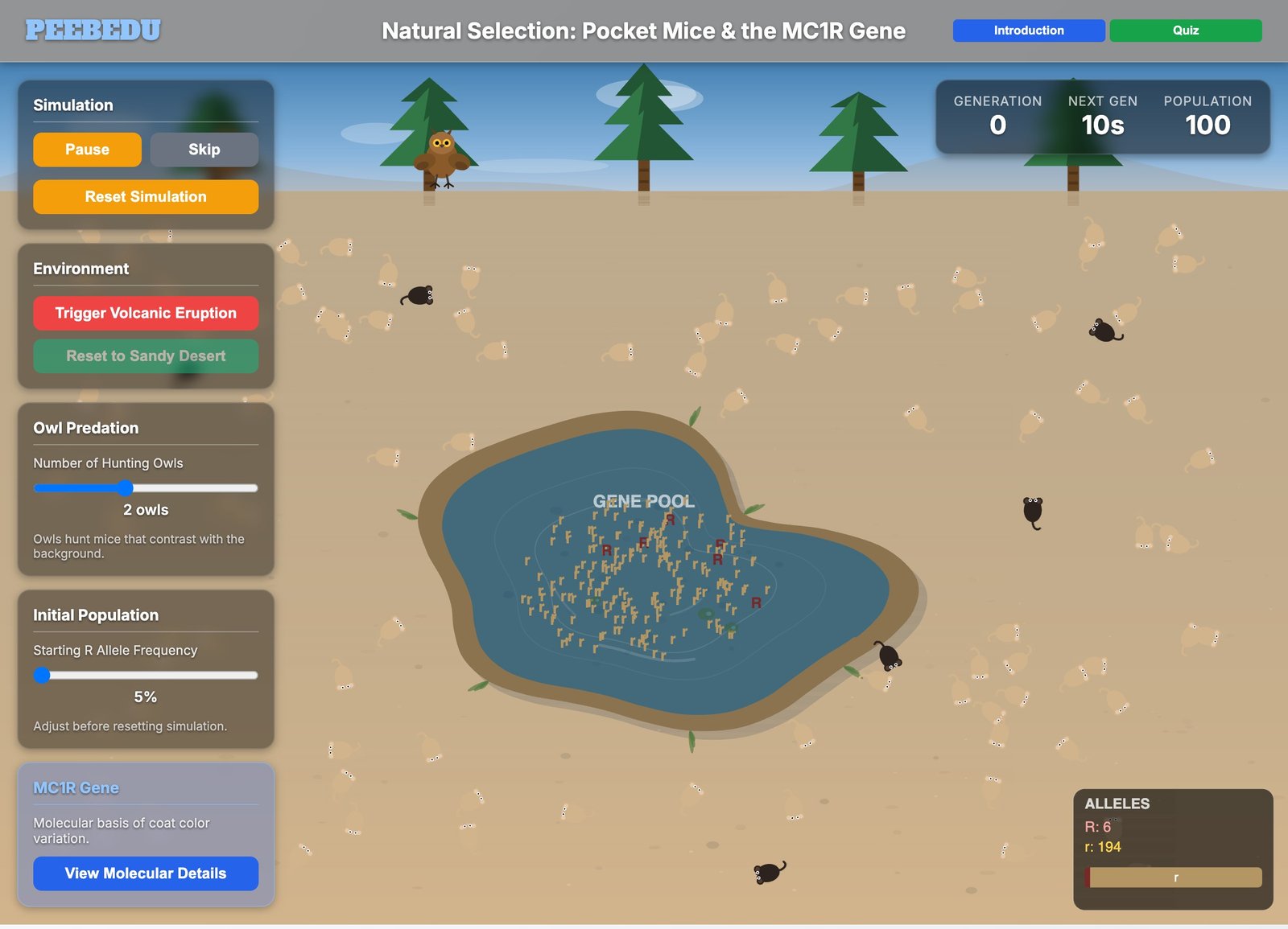 Pocket Mice Natural Selection screenshot
