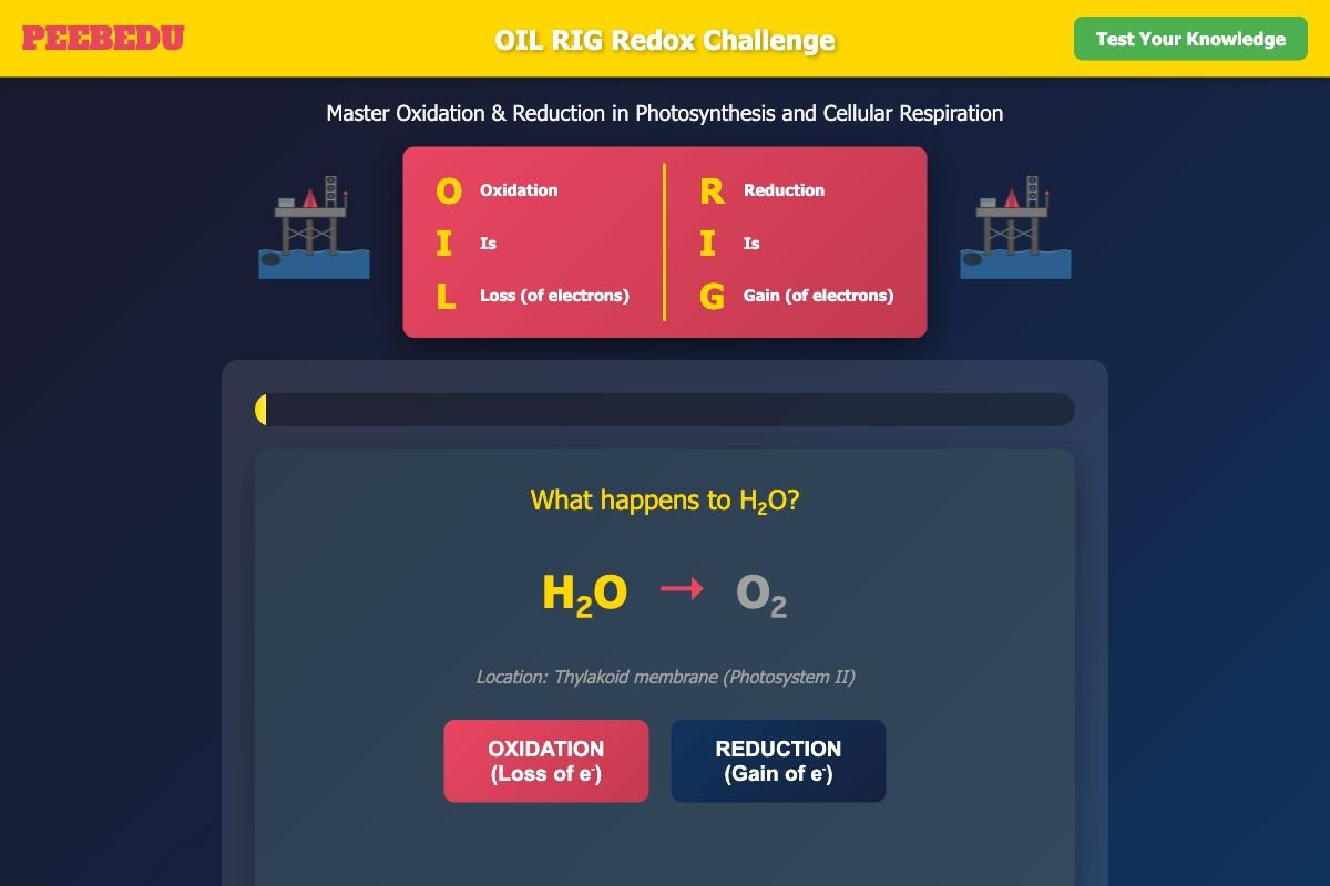 RedOx Challenge screenshot