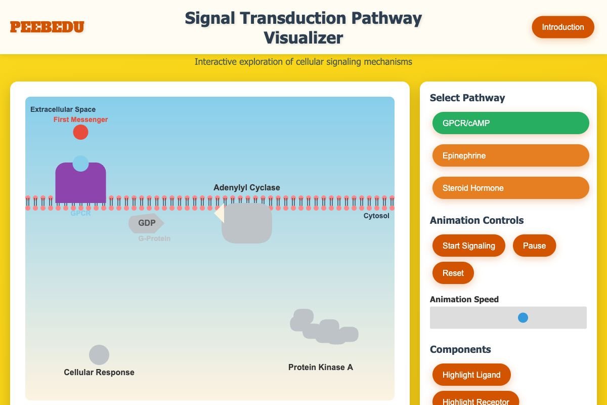 Signal Transduction Visualizer screenshot