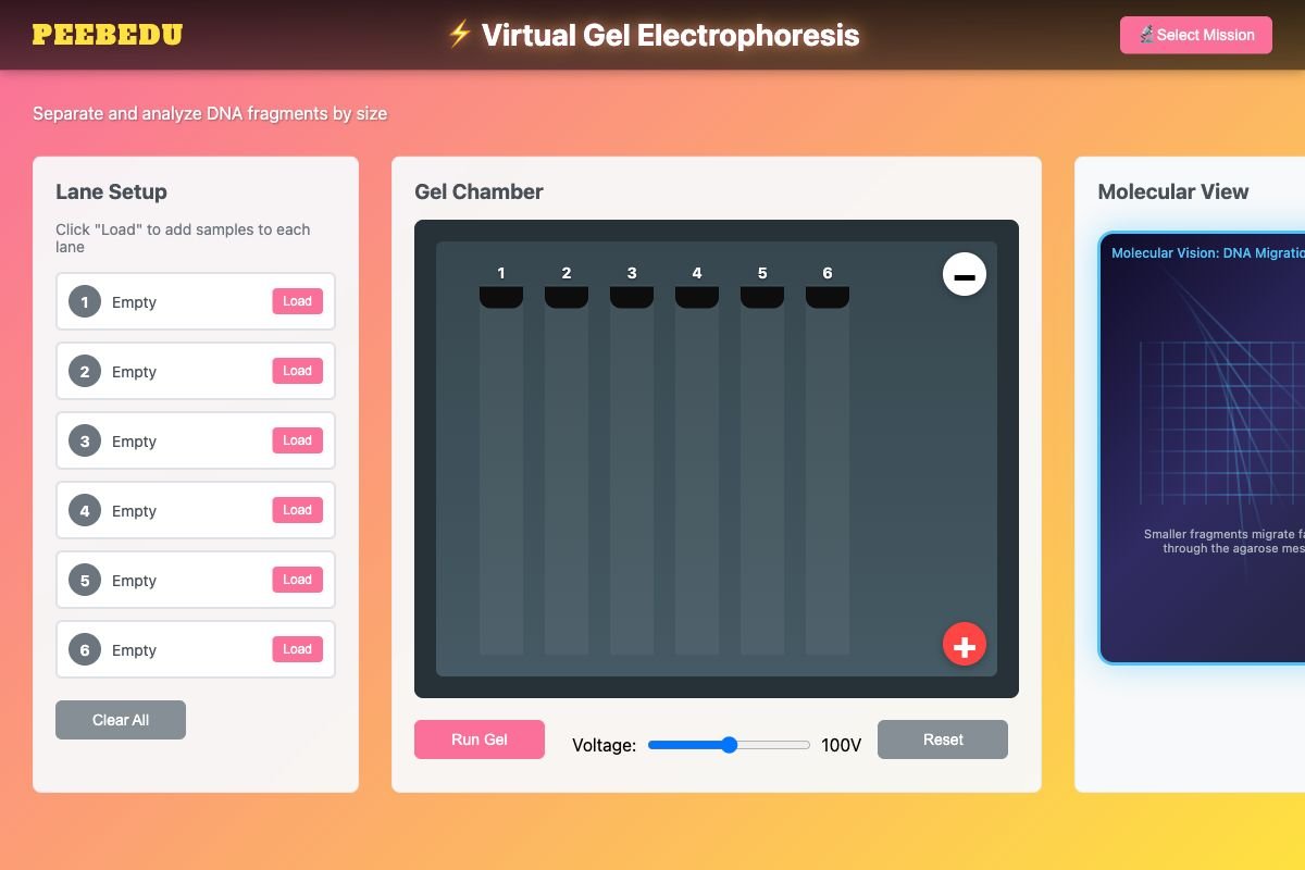 Virtual Gel Electrophoresis screenshot